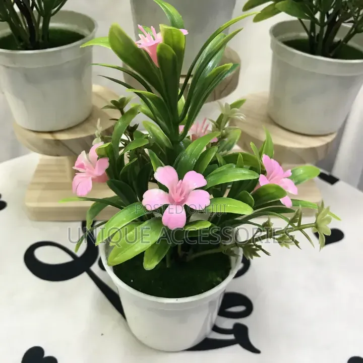 Flower With Vase