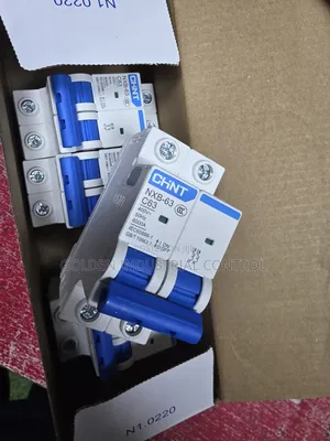 2 Pole Chint Breaker