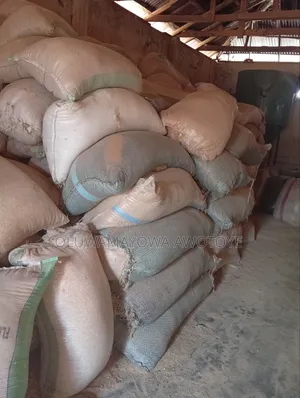 Rice Husk for Sale