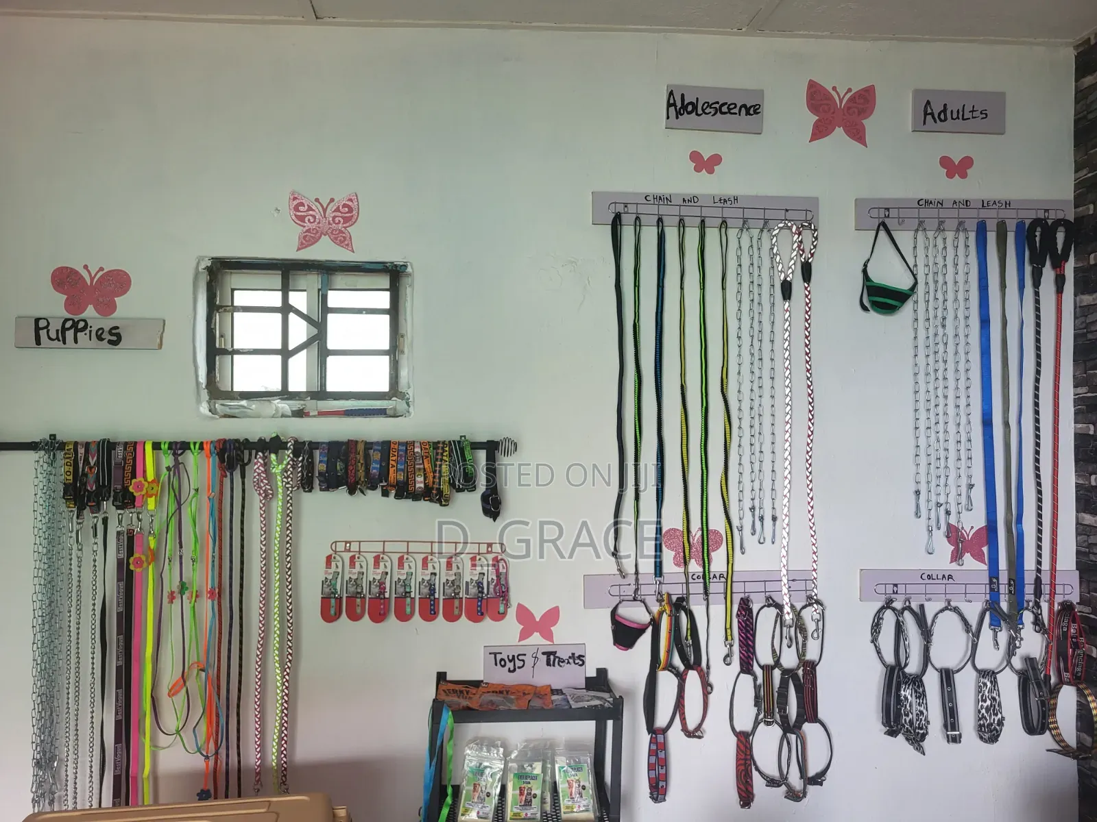 Dog Chain, Leash and Collar