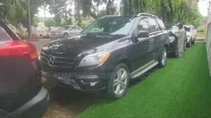 Mercedes-Benz M Class 2014 Black