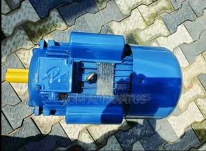 Industrial Electric Motor