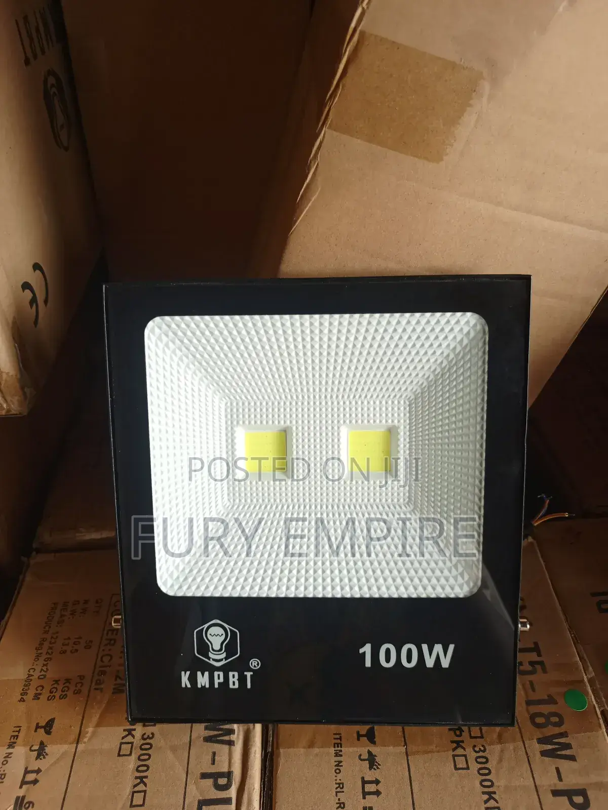 100watts Floodlights