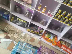 Dog Food and Accessories