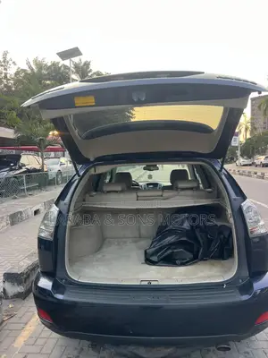 Lexus RX 350 2007 Gray