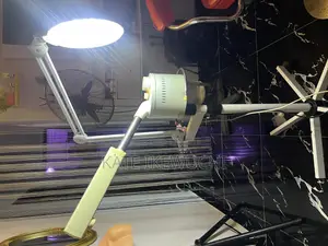 Standing Face Steamer