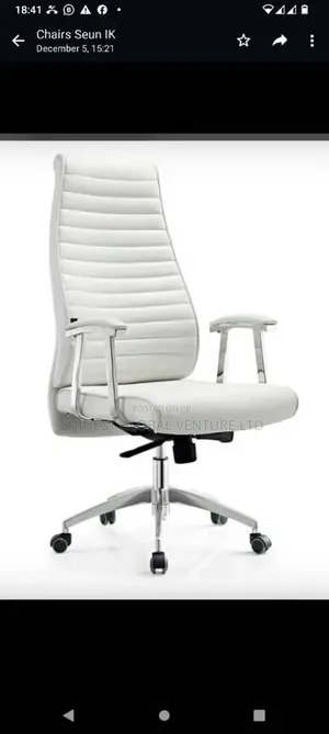 Executive Office Chair