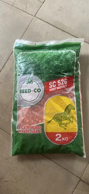 Seedco Certified Maize Seed