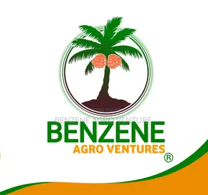 Supergene Palm Seedlings