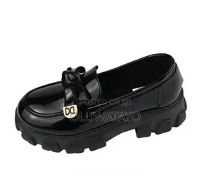 Loafers Shoe