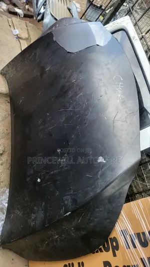 Bonnet Rx350 2018