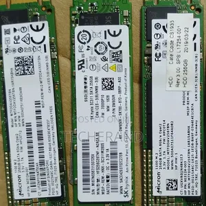 Micron 256gb Nvme M.2 Sata SSD Long Double Cut 2280