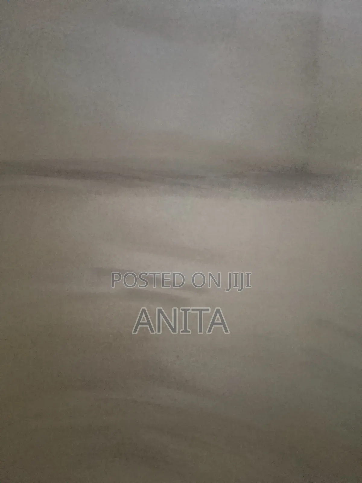 Ainik Cleaning Services