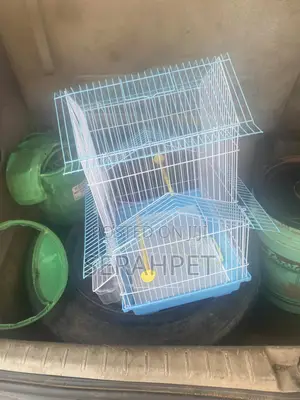 Foreign Cage for Love Birds Available for Sale