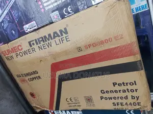 Fireman Generator Spg8800e2, 6kv