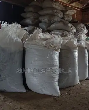 Palm Kernel Cake PKC