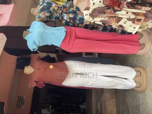 Ladies Coperate Pants