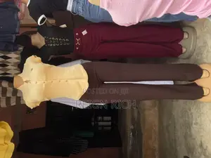 Ladies Coperate Pants