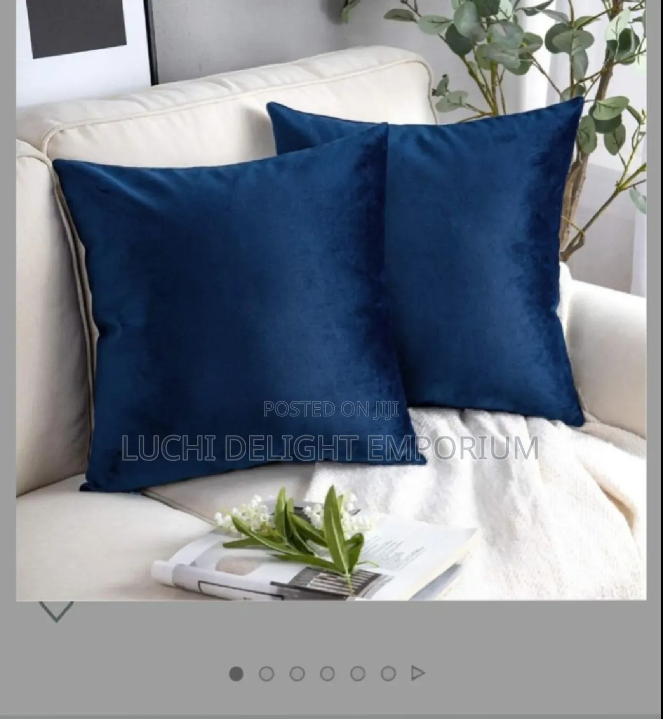 Velvet 2-Set Throw Pillows
