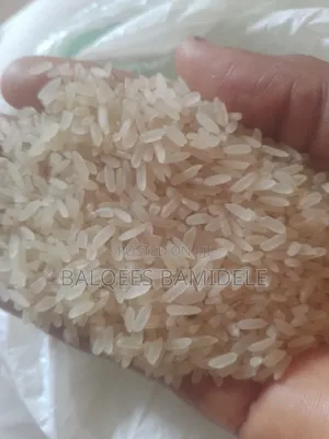 Clean Destoned Nigerian Rice 50kg – Ilorin