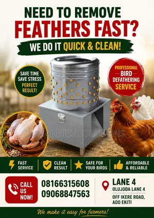 Professional Chicken Feather Removal Service in Ado Ekiti
