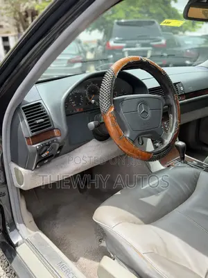 Mercedes-Benz S-Class S 420 L (V140) 1995 Gray