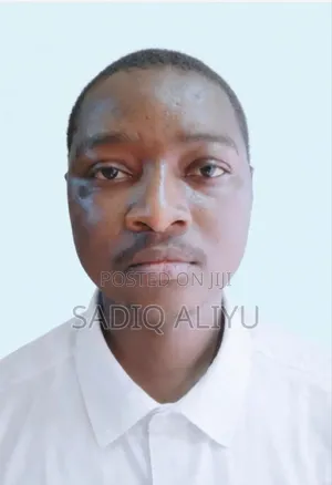 Mr Sadiq Aliyu