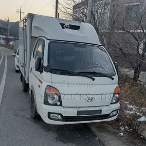 Hyundai Refrigerator Mini Truck