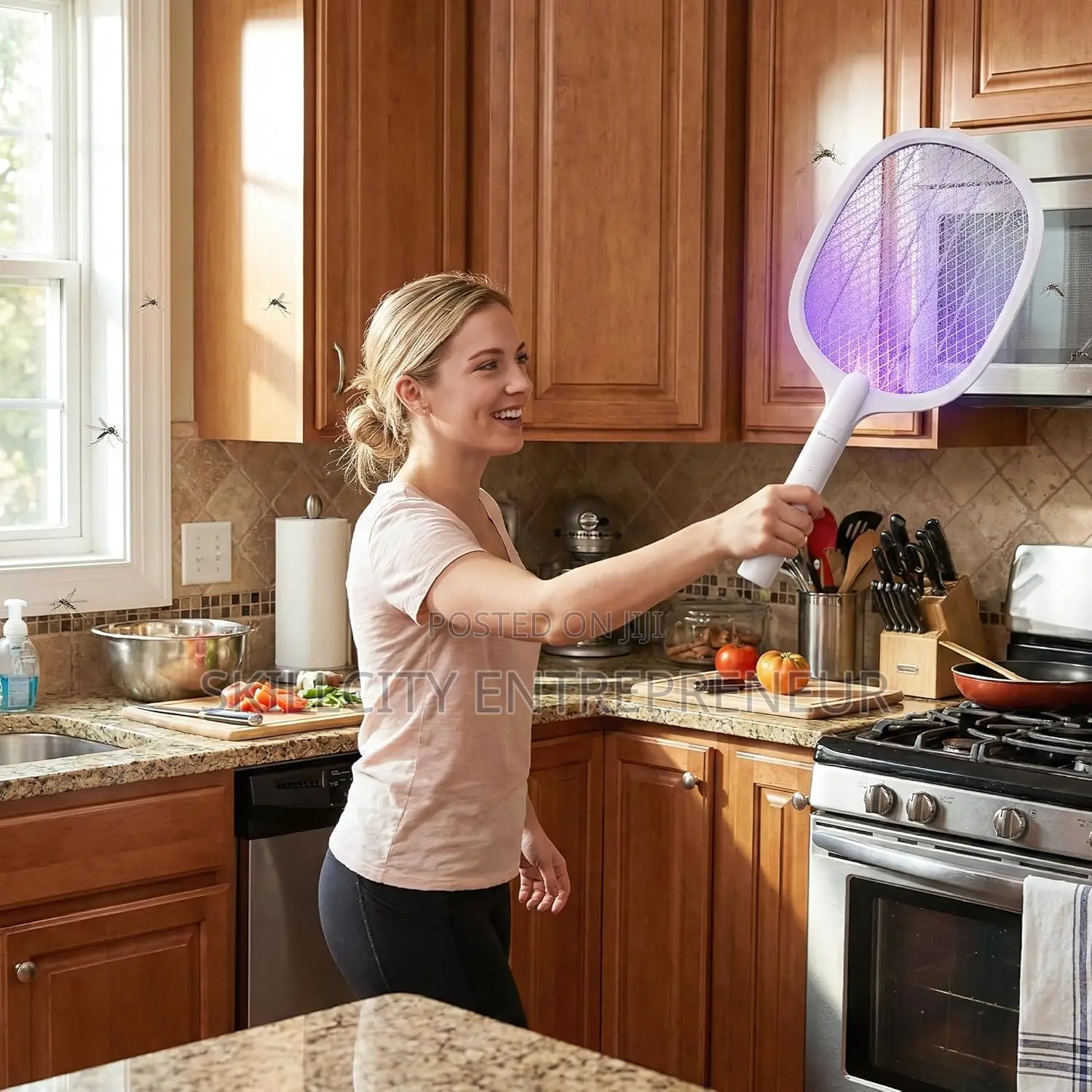 Rechargeable Battery Handheld Electric Fly Swatter