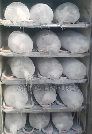 Ice Block (Solid Ice Block)