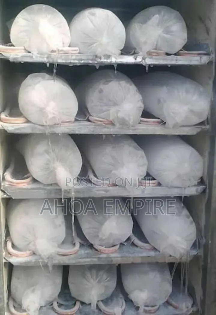 Ice Block (Solid Ice Block)