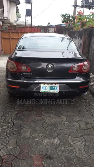 Volkswagen Passat 2010 Gray