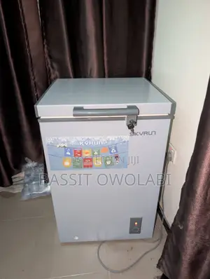 Skyrun 100l Deep Freezer