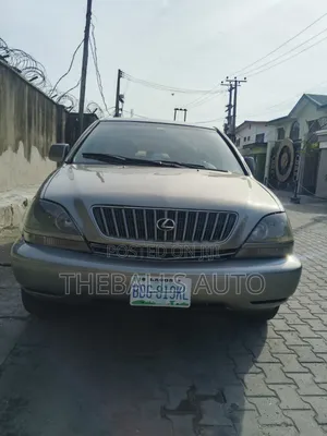 Lexus RX 300 2WD 2002 Gray