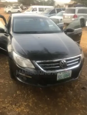 Volkswagen Passat 2010 Gray