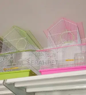 Birds Cages Available