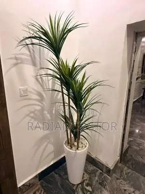 White Flower Vase and Flower