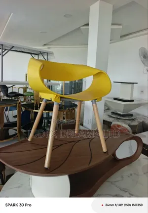 High Quality Saloon Chair