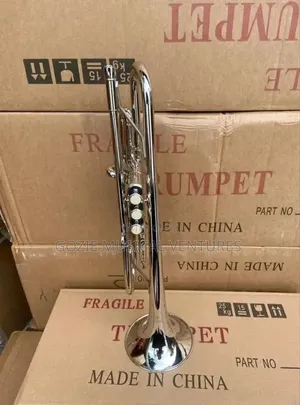 Professional Yamaha Trumpet Sliver and Gold Colour