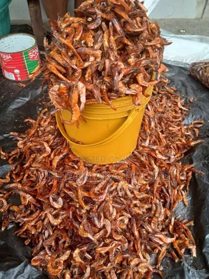 Dried Prawns – Fresh, Flavorful Rich in Protein