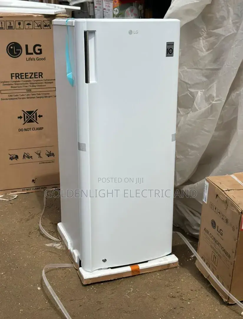Lg 304 Upright Freezer