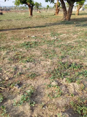 100 Hectares Land at Apo Gudu
