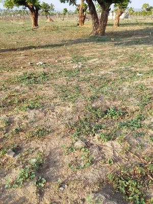 100 Hectares Land at Apo Gudu