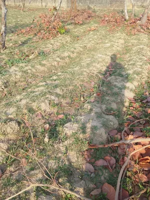 1000 SQM Land at Lifecamp Dape
