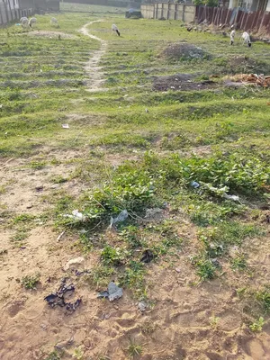 10 Hectares at Kyami