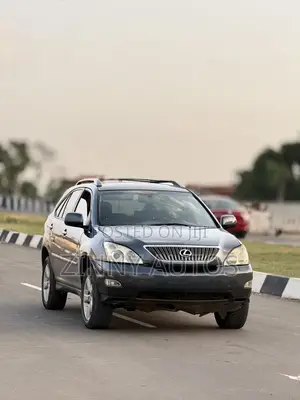 Lexus RX 2003 Gray