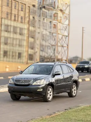 Lexus RX 2003 Gray