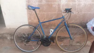 Sports Bicycle
