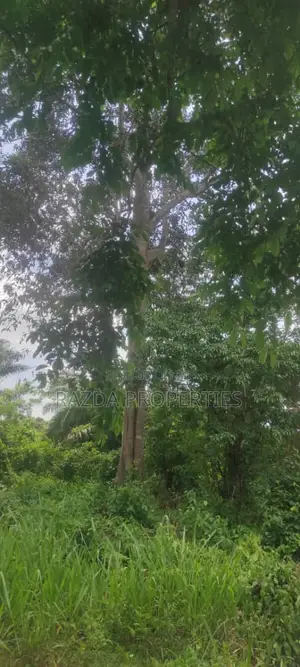 1 Acre of Farmland Near Ilaji Resort