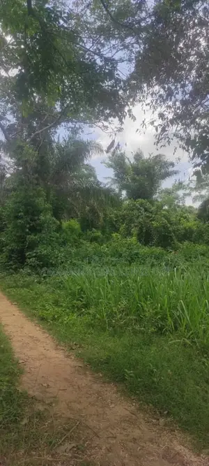 1 Acre of Farmland Near Ilaji Resort